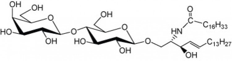 N-Heptadecanoyl-lactosylceramide