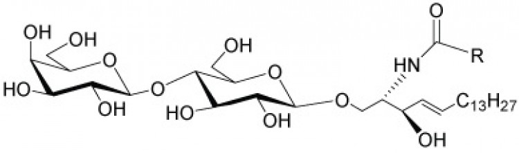 Lactosylceramides, (porcine RBC)