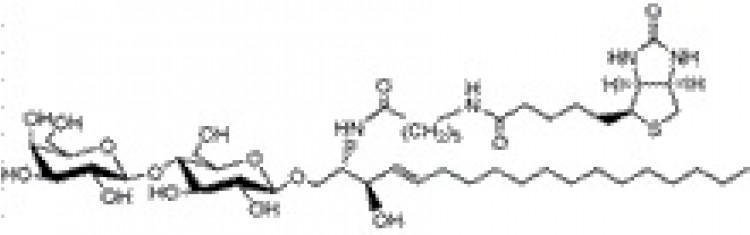 N-Hexanoyl-biotin-lactosylceramide