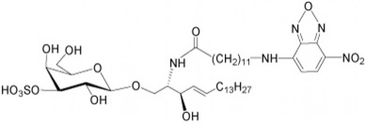 N-Dodecanoyl-NBD-sulfatide