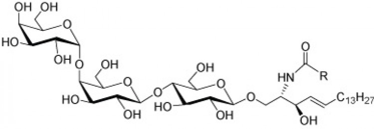 Ceramide trihexosides, (top spot)
