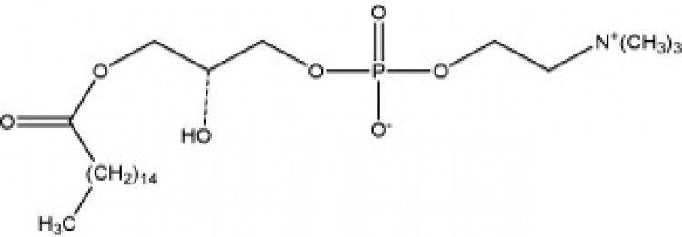 1-Palmitoyl-sn-glycero-3-phosphorycholine, (lyso-PPC)