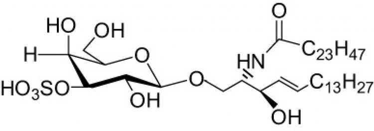 N-Tetracosanoyl-sulfatide