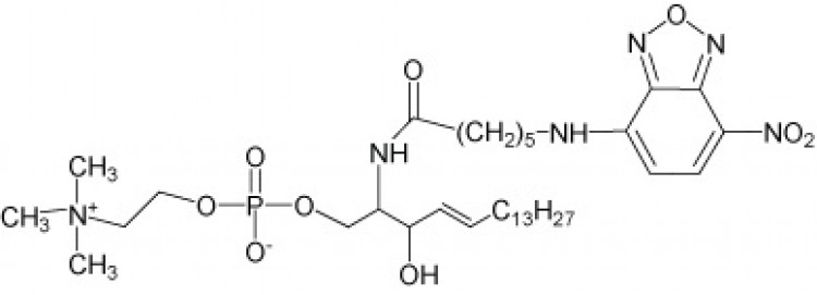 N-Hexanoyl-NBD-sphingosylphosphorylcholine