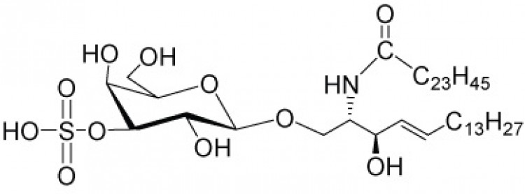 N-Tetracosenoyl-sulfatide