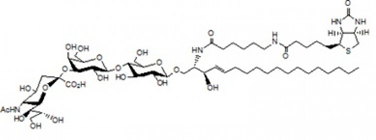 N-Hexanoyl-biotin-monosialoganglioside GM3