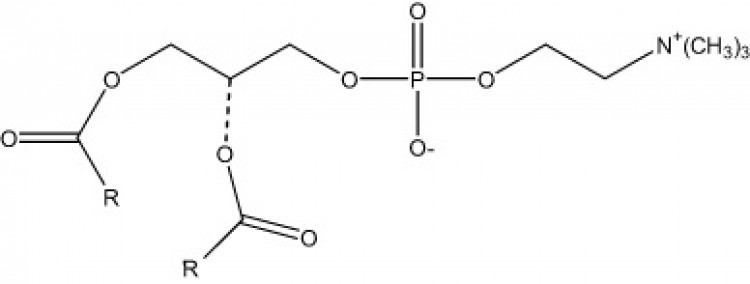 Lecithin, (bovine)/ml 1 ml chloroform
