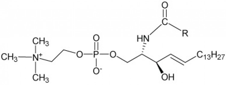 Sphingomyelin, (egg, chicken)