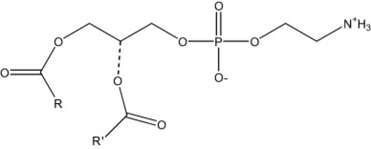 Phosphatidylethanolamine, (plant)/ml, 1 ml chloroform