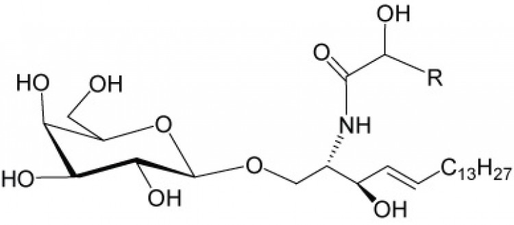 Cerebrosides; Phrenosin, (bottom spot)