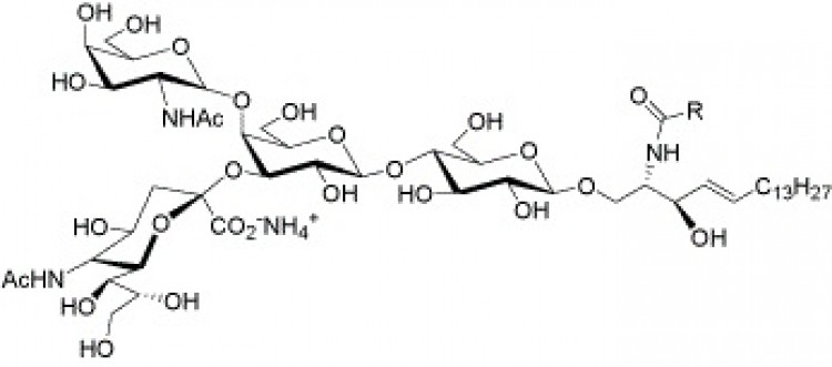 Monosialoganglioside GM2 (NH4+ salt), (bovine)