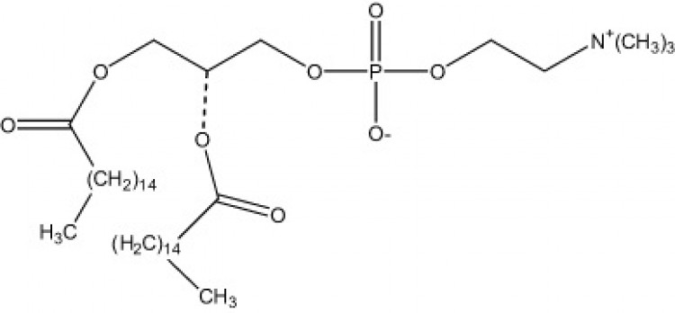 1,2-Dipalmitoyl-sn-glycero-3-phosphorylcholine, (DPPC)