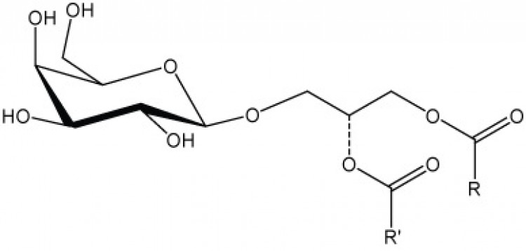 Monogalactosyldiglyceride, (plant)