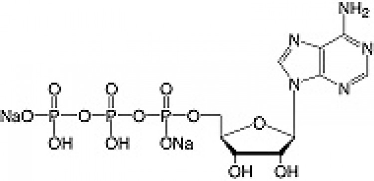 Adenosine-5'-triphosphate-Na2-salt cryst. research grade