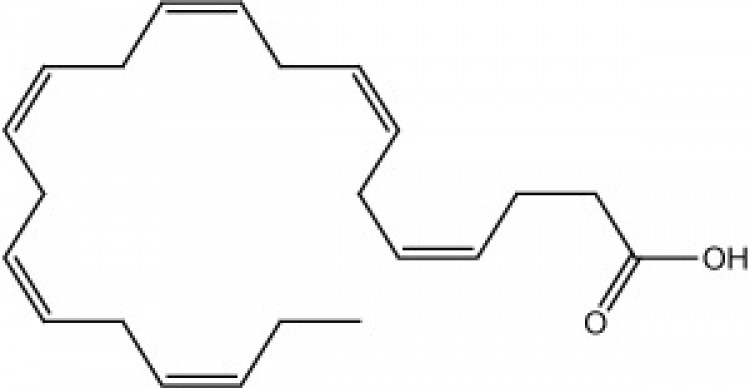 Docosahexaenoic acid (all cis-4,7,10,13,16,19)