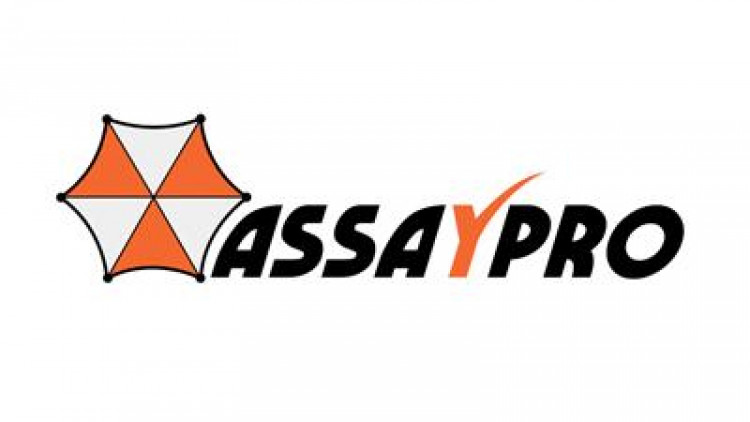 Human Apolipoprotein B  (Apo B) AssayMax™ ELISA Kit  