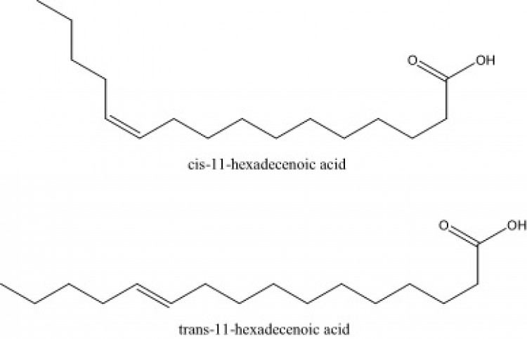 11-Hexadecenoic acid, (92% cis, 8% trans)