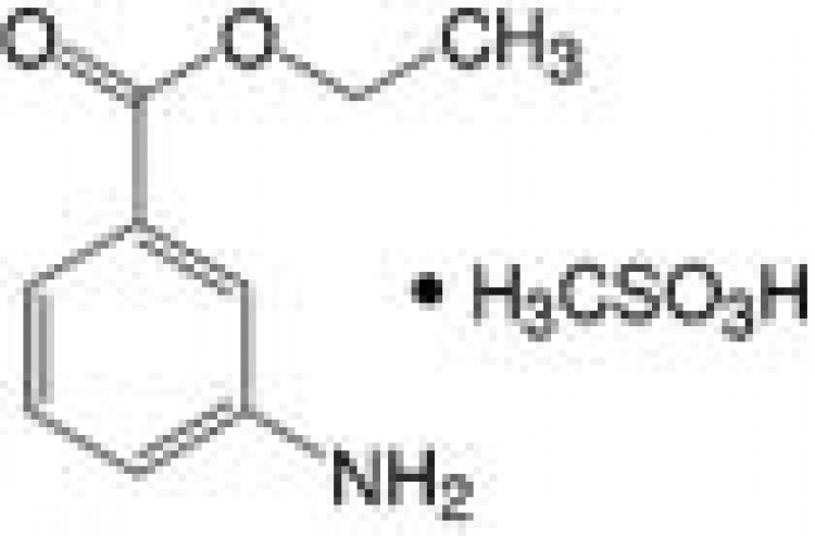 Aminobenzoic acid ethyl ester-methanesulfonate pure