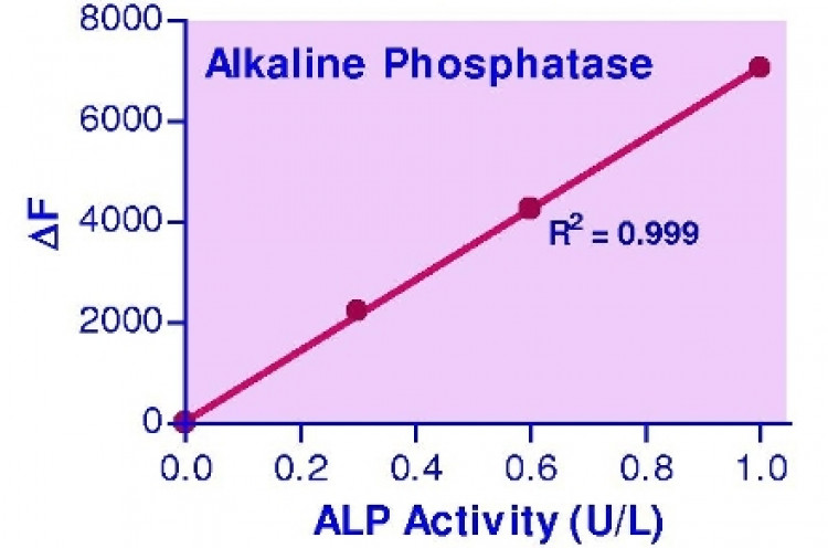 QuantiFluo™ Alkaline Phosphatase Assay Kit