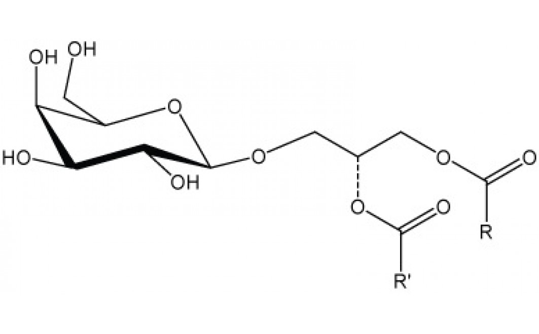 Monogalactosyldiglyceride, (plant)
