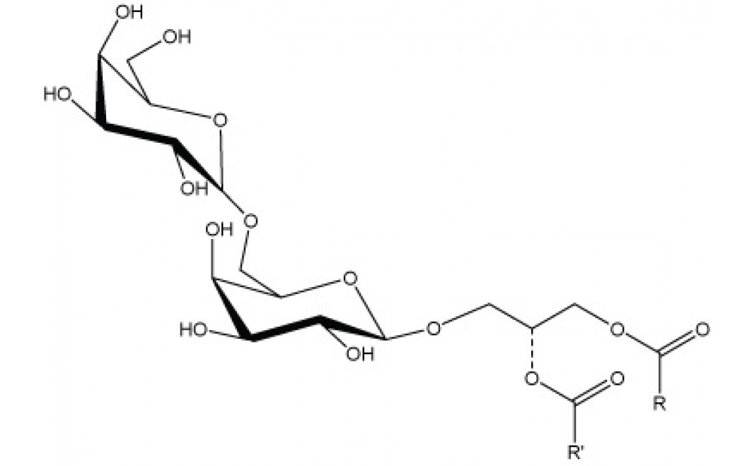 Digalactosyldiglyceride, (plant), hydrogenated, distearoyl,(DGDG)