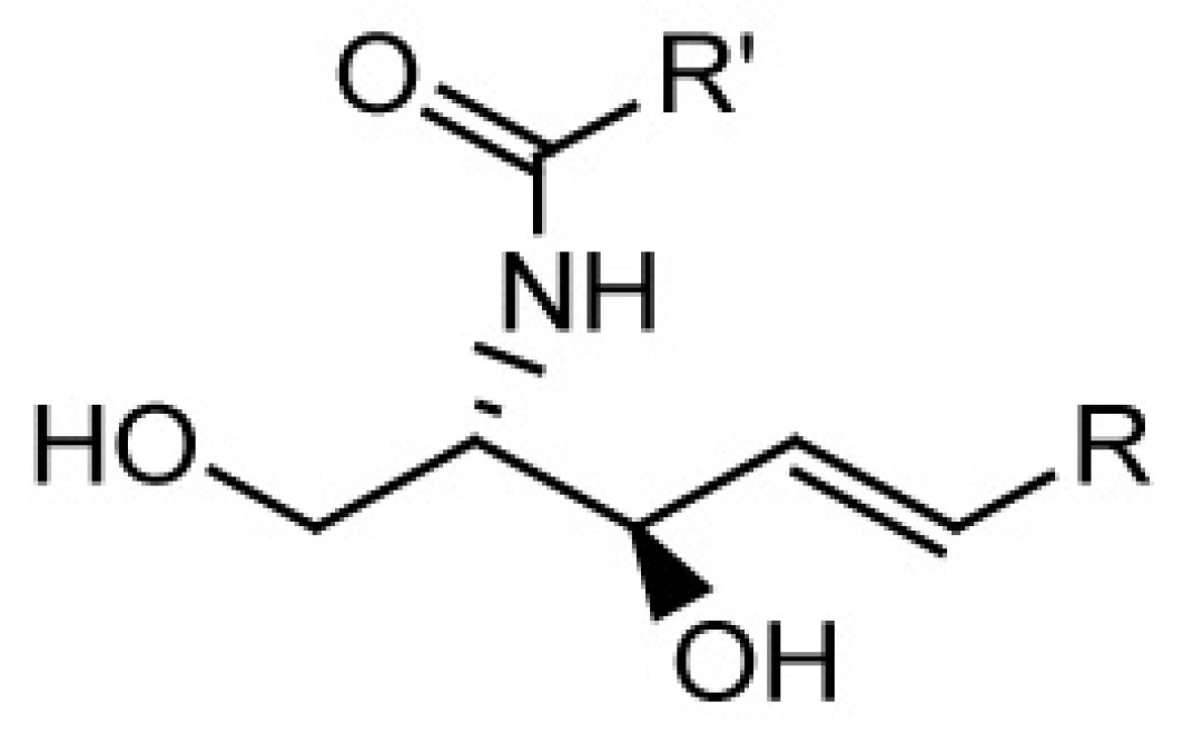 Ceramides, (non-hydroxy)