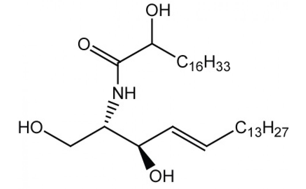 Ceramides, (hydroxy)