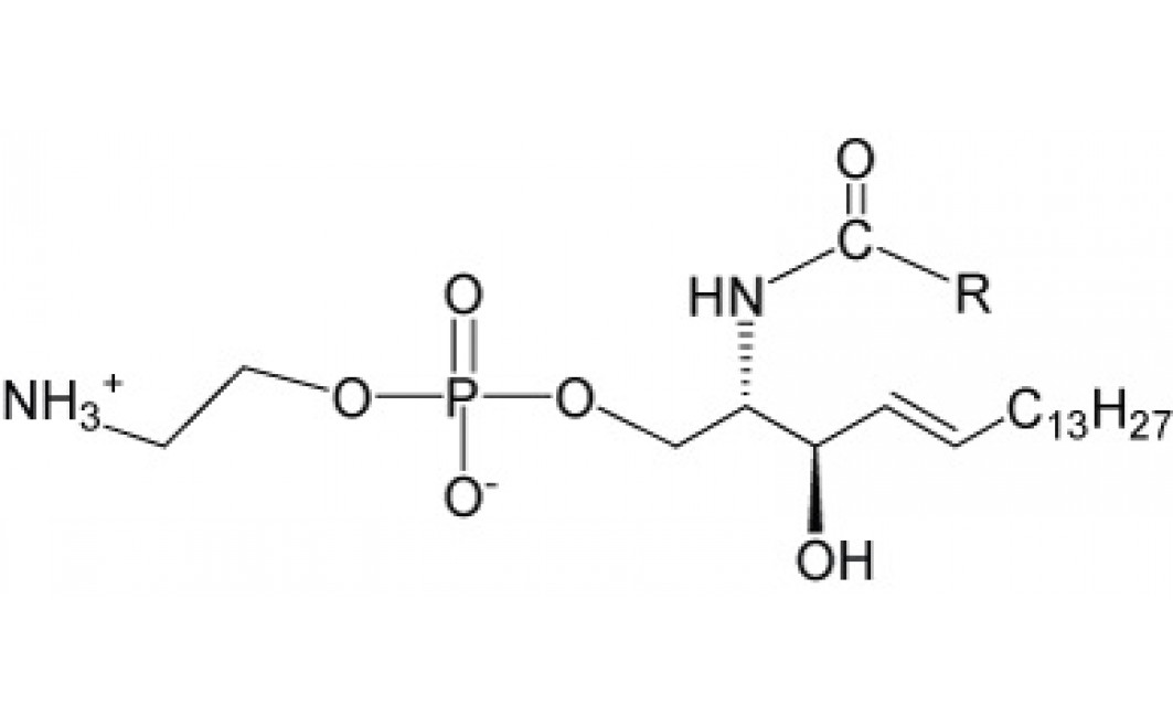 N-Acyl-D-erythro-sphingosylphosphorylethanolamine
