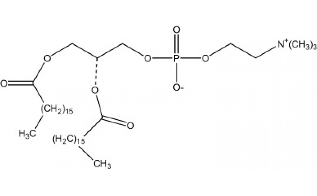 1,2-Diheptadecanoyl-sn-glycero-3-phosphorylcholine, (DHDPC)