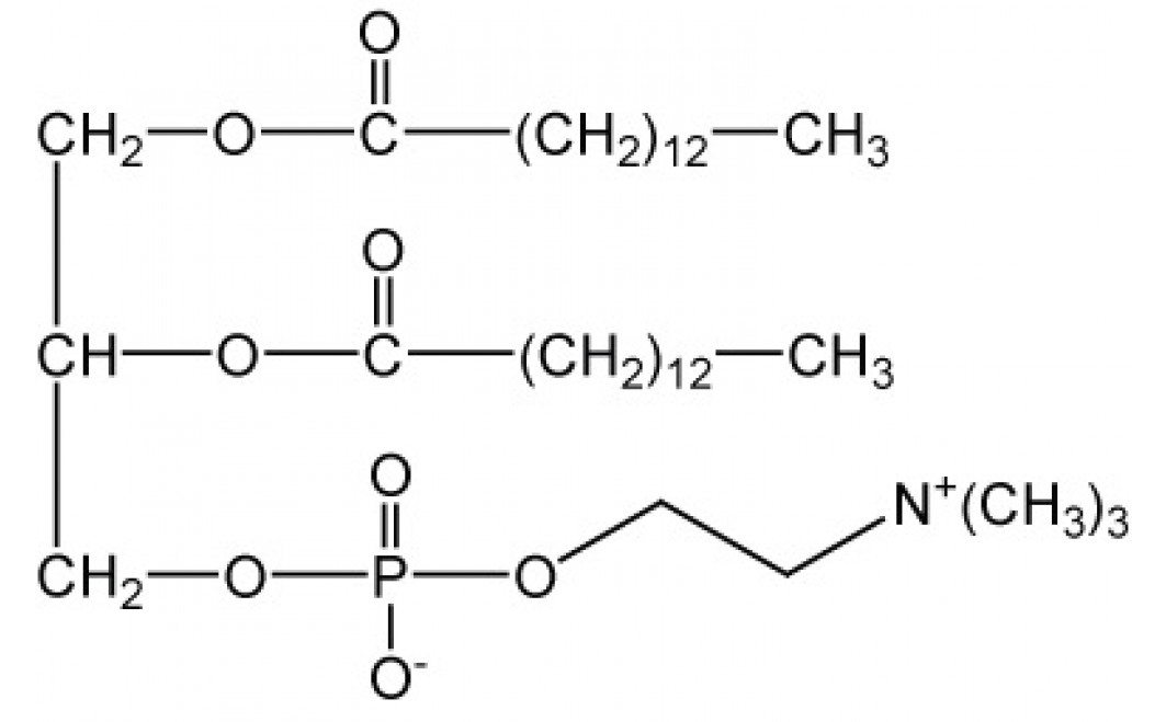1,2-Dimyristoyl-sn-glycero-3-phosphorylcholine, (DMPC)