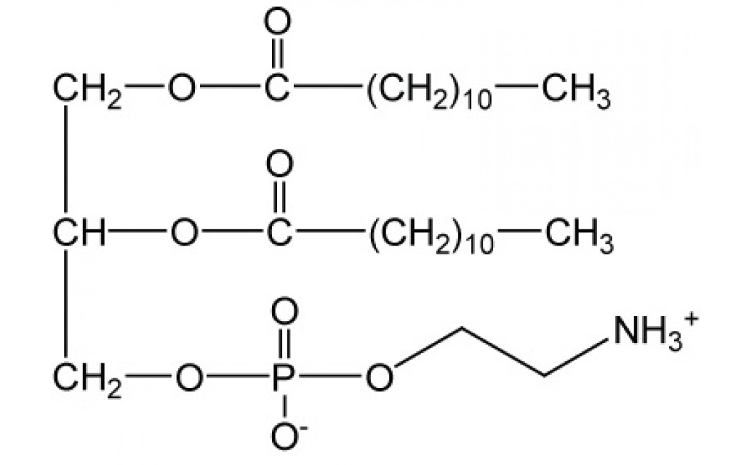 1,2-Dilauroyl-sn-glycero-3-phosphorylethanolamine, (DLPE)