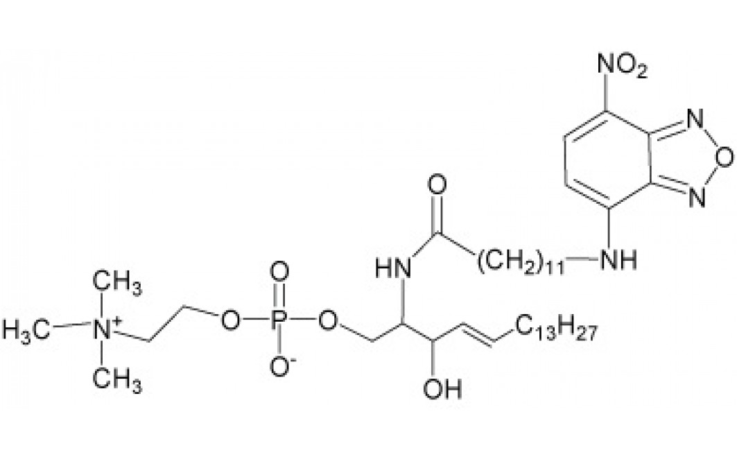 N-Dodecanoyl-NBD-sphingosylphosphorylcholine
