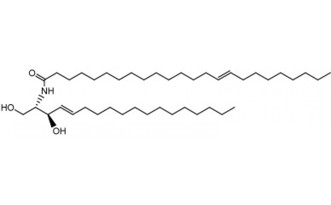 N-Tetracosenoyl-D-erythro-sphingosine