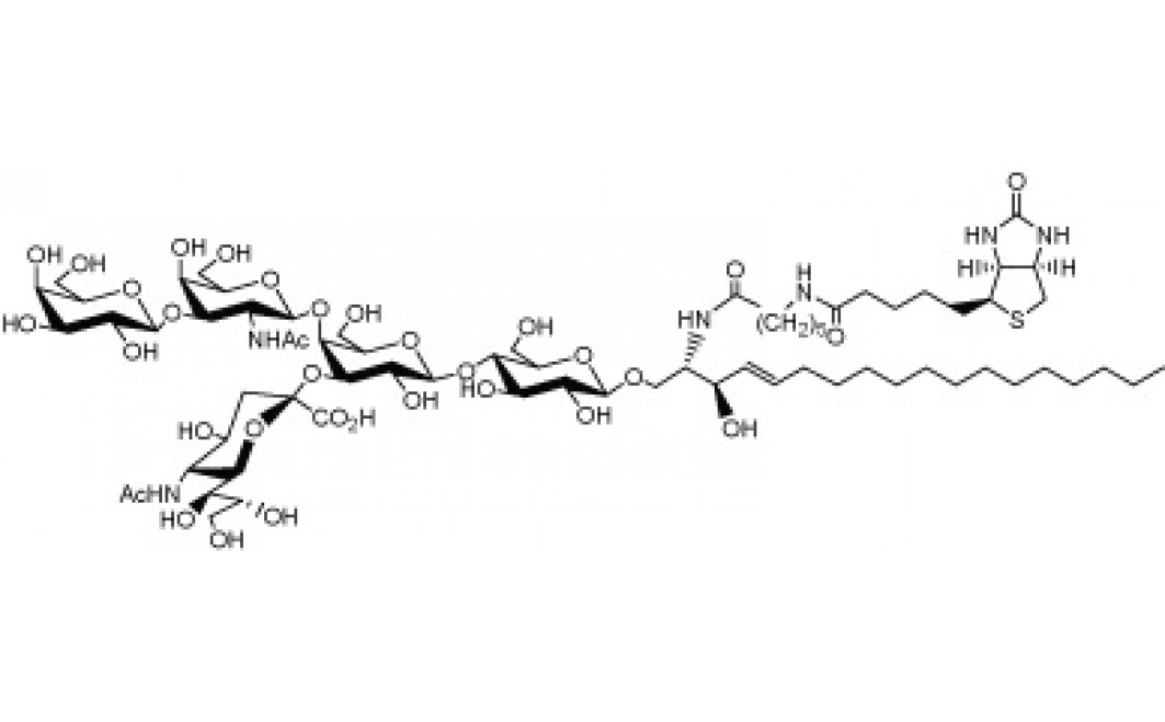 N-Hexanoyl-biotin-monosialoganglioside GM1