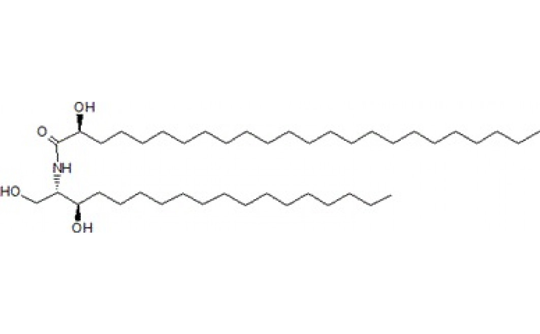 N-(S)-alpha-Hydroxytetracosanoyl-D-erythro-dihydrosphingosine