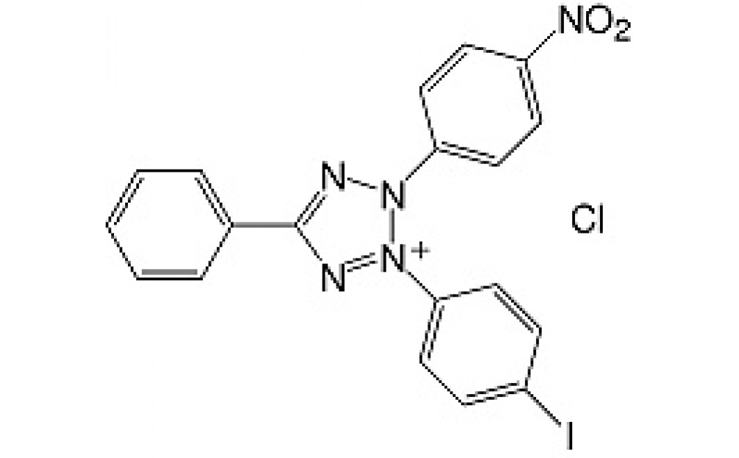 Iodonitrotetrazolium chloride research grade