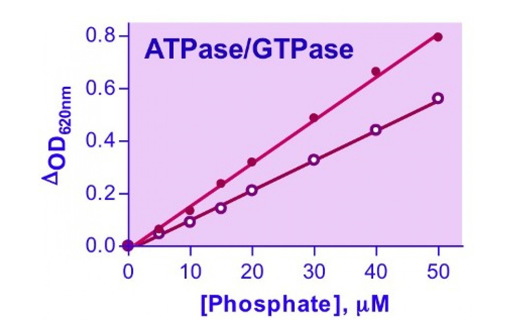 QuantiChrom™ ATPase/GTPase Assay Kit