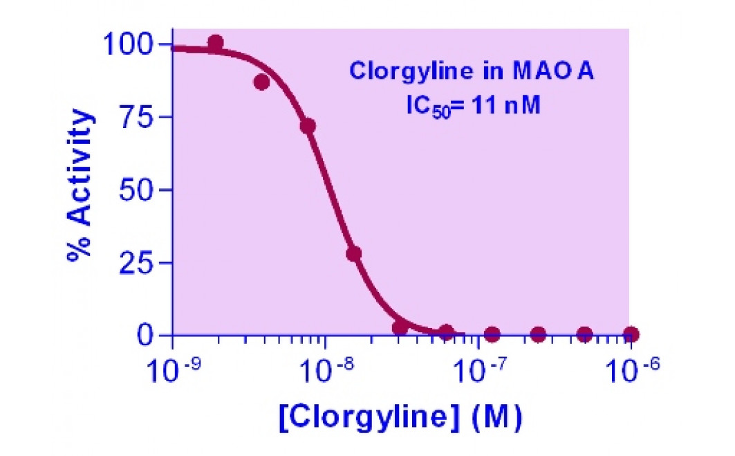 EnzyChrom™ Monoamine Oxidase Inhibitor Screening Kit