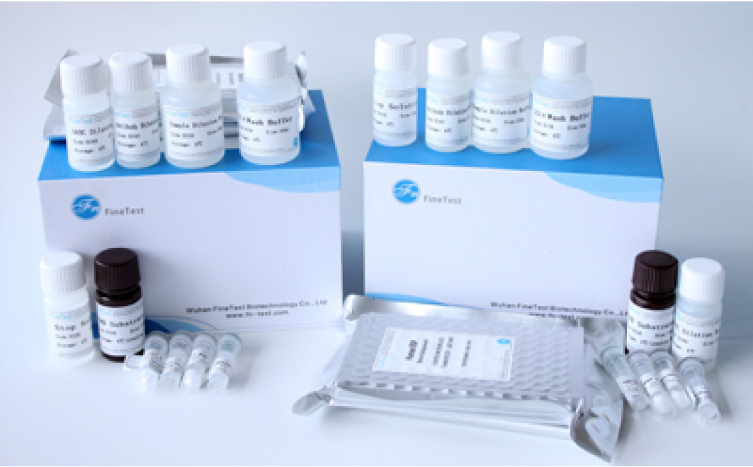  Mouse CD40(B-cell surface antigen CD40) ELISA Kit