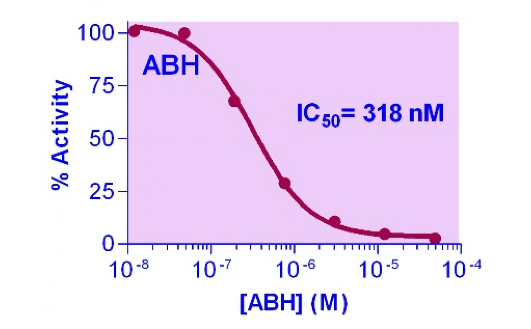 QuantiChrom™ Arginase Inhibitor Screening Kit