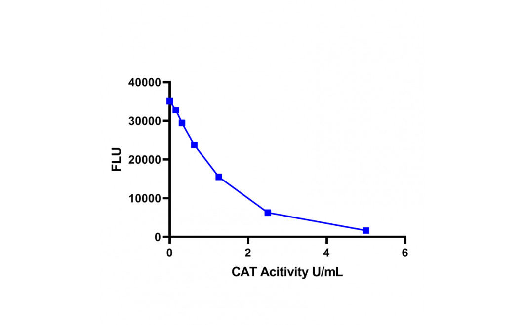 Catalase (CAT) Fluorometric Assay kit