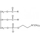 Lecithin, (egg)/ml, 1 ml chloroform