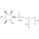 Phosphatidylinositol, (plant), (Na+ salt)/ml, 1 ml chloroform