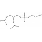 Phosphatidylethanolamine, (bovine)/ml, 1 ml chloroform