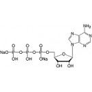 Adenosine-5'-triphosphate-Na2-salt cryst. research grade