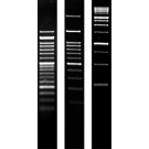 Agarose SERVA for PCR low melting molecular biology grade