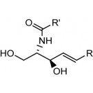 Ceramides, (non-hydroxy)