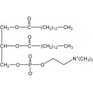 1,2-Dimyristoyl-sn-glycero-3-phosphorylcholine, (DMPC)