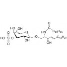 N-Tetracosenoyl-sulfatide