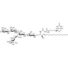 N-Hexanoyl-biotin-monosialoganglioside GM1